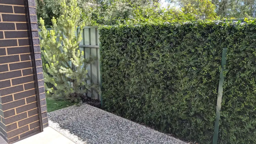 Artificial green wall attached to fence