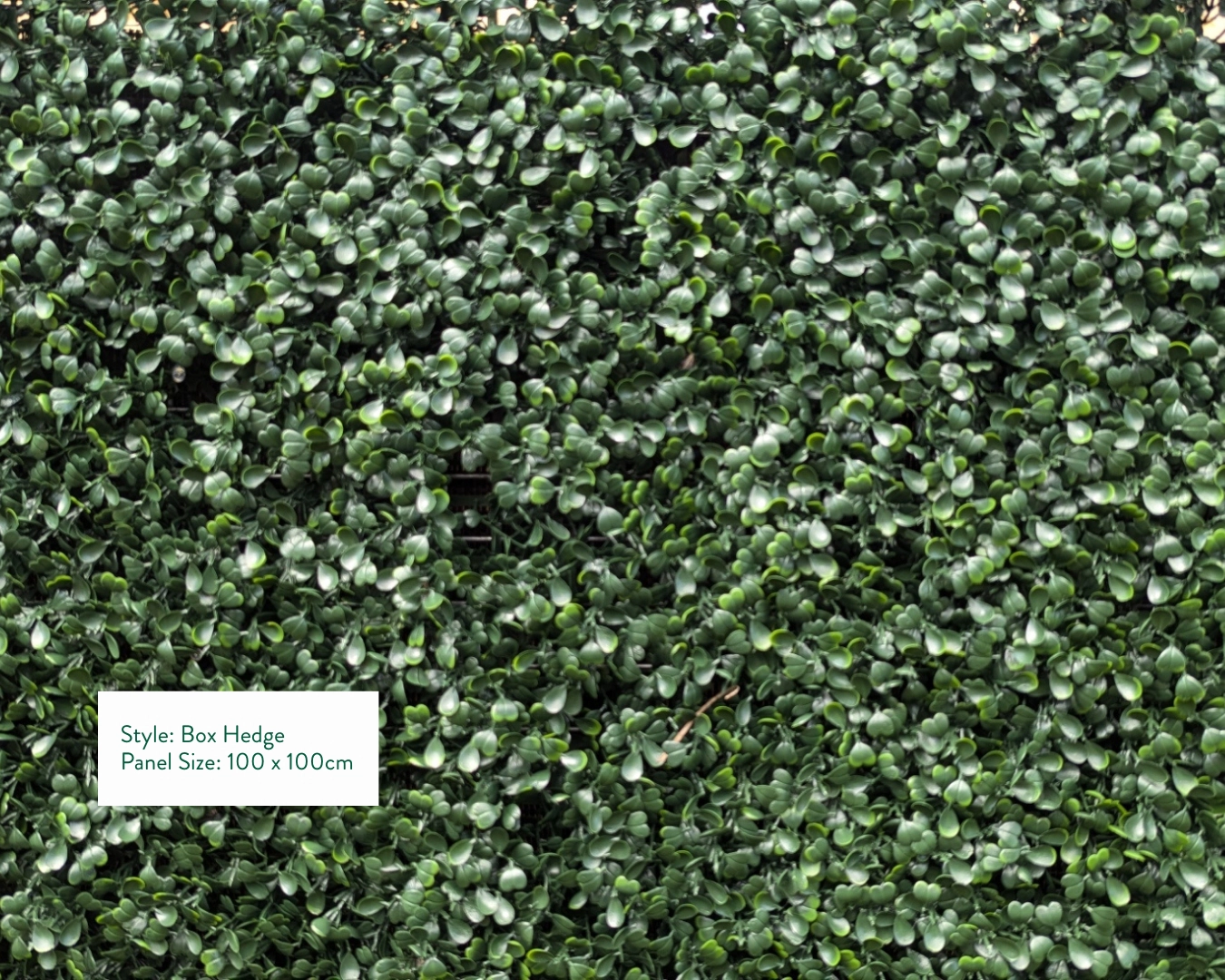 Box Hedge artificial green wall style