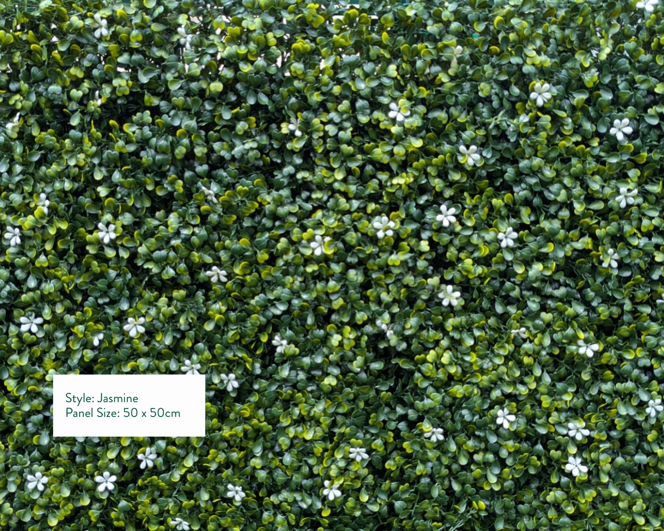 Jasmine artificial green wall style