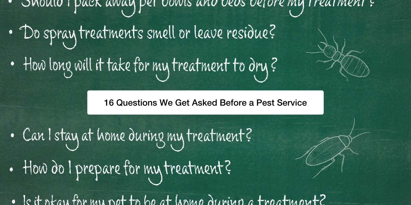 Feature image for the blog 16 Questions We Get Asked Before a Pest Service