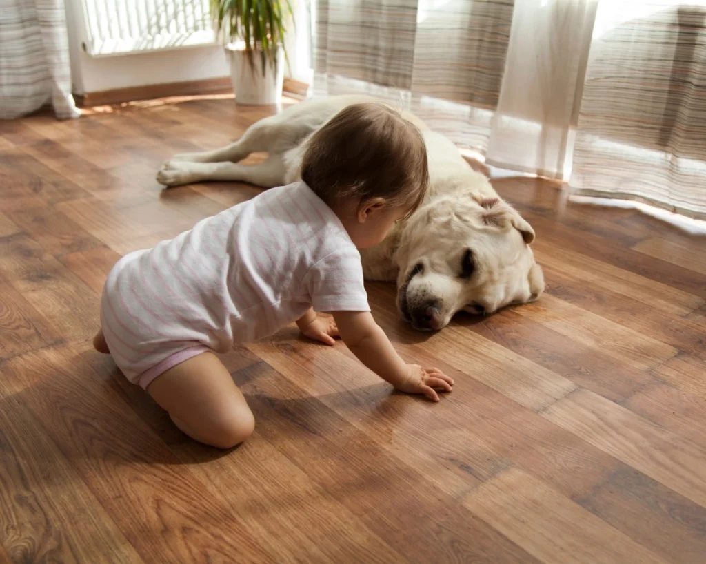 A baby and a dog sitting on a living room floor