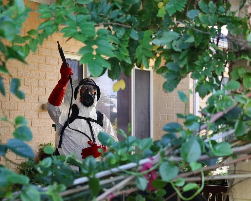 Pest control technician spraying an external treatment onto a house