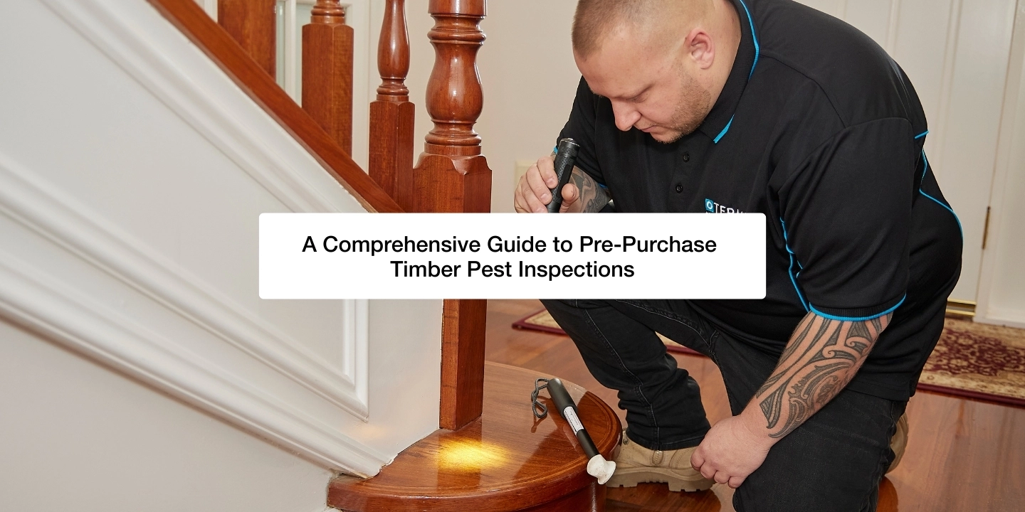 A Comprehensive Guide to Pre-Purchase Timber Pest Inspections blog feature image