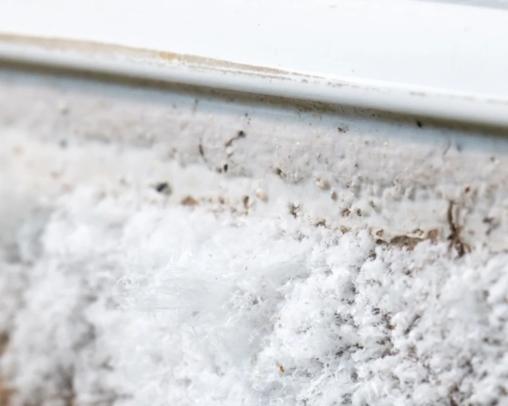 Efflorescence on a wall