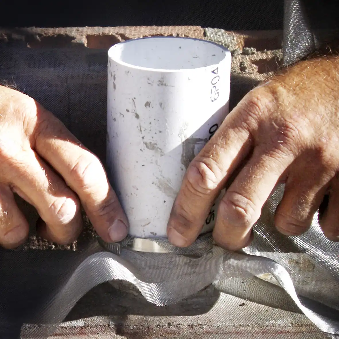 Pioneering new termite technology