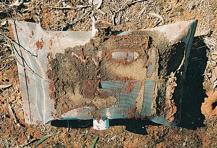 Wood encased inside Termimesh stainless steel bag that has been dug up from the ground after five years of CSIRO testing of Termimesh's ability to prevent termite entry