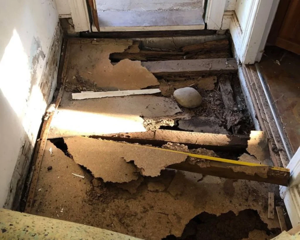 Serve termite damage to a floor