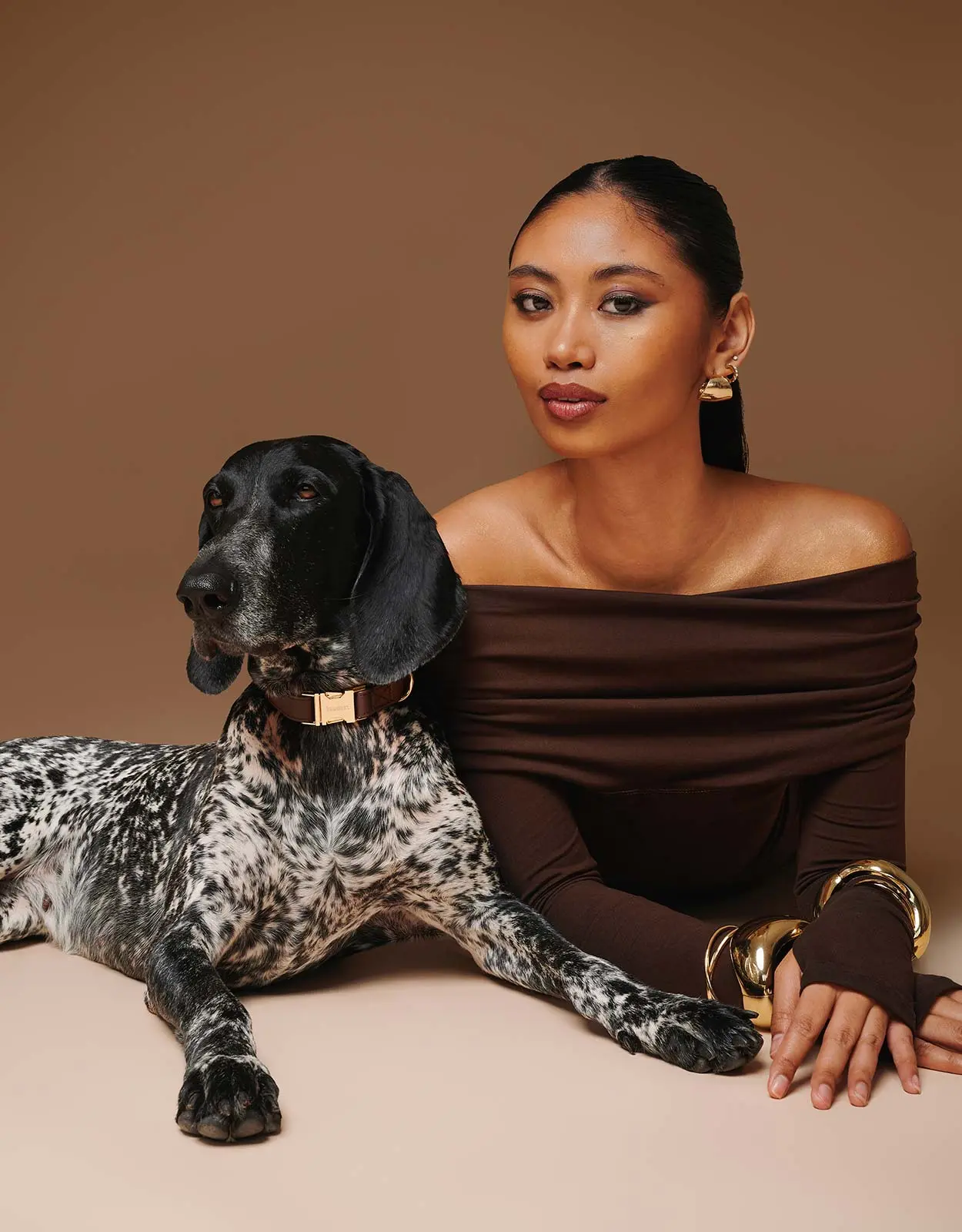 A German Shorthaired Pointer sporting a baarc premium collar