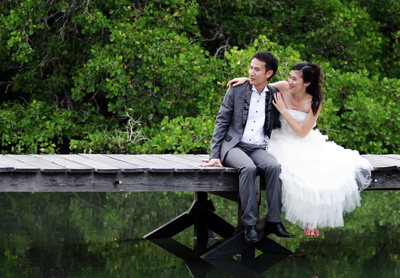 2024/11/Mangrove.jpg