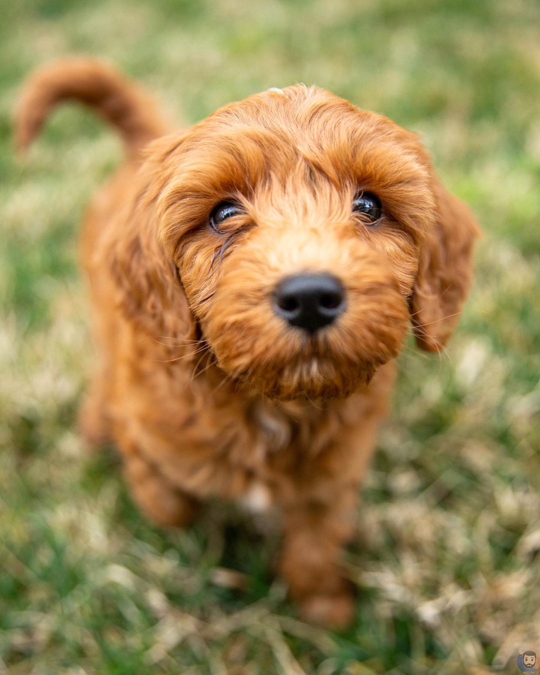 140497251 1101607153597888 8328297489204034926 n