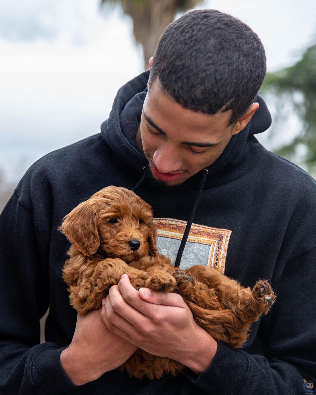 141964919 3796901667041966 1682901675829693382 n