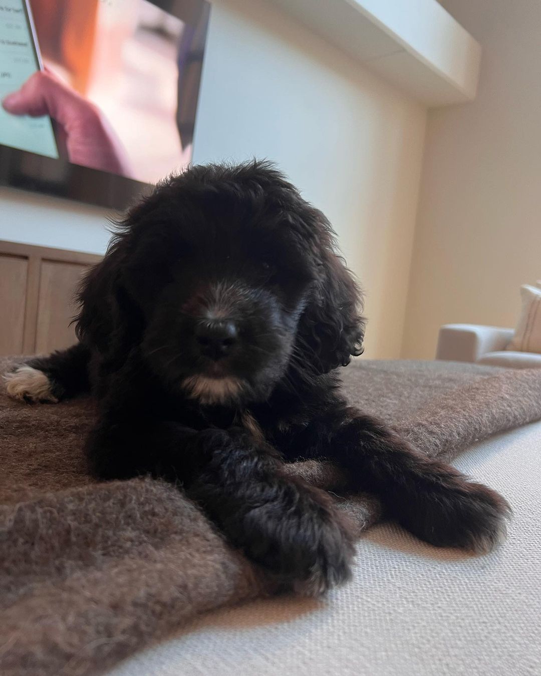 317475390 855767125757846 2714198434261322331 n