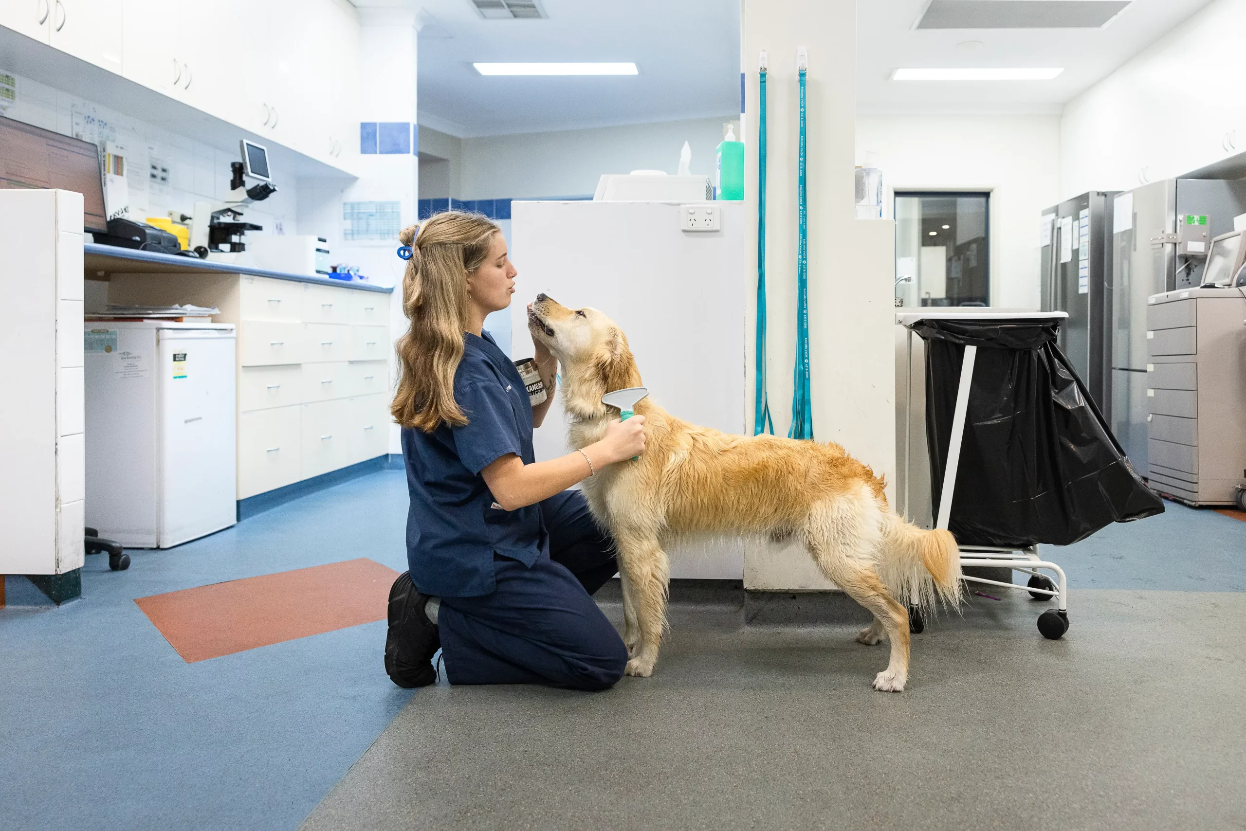 2025/04/dog-care-scaled.webp