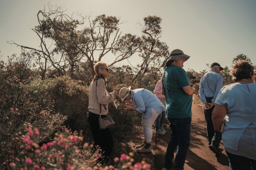 Spring Theme Wa Celebrate Spring in WA’s Great Southern - WA Parks Foundation