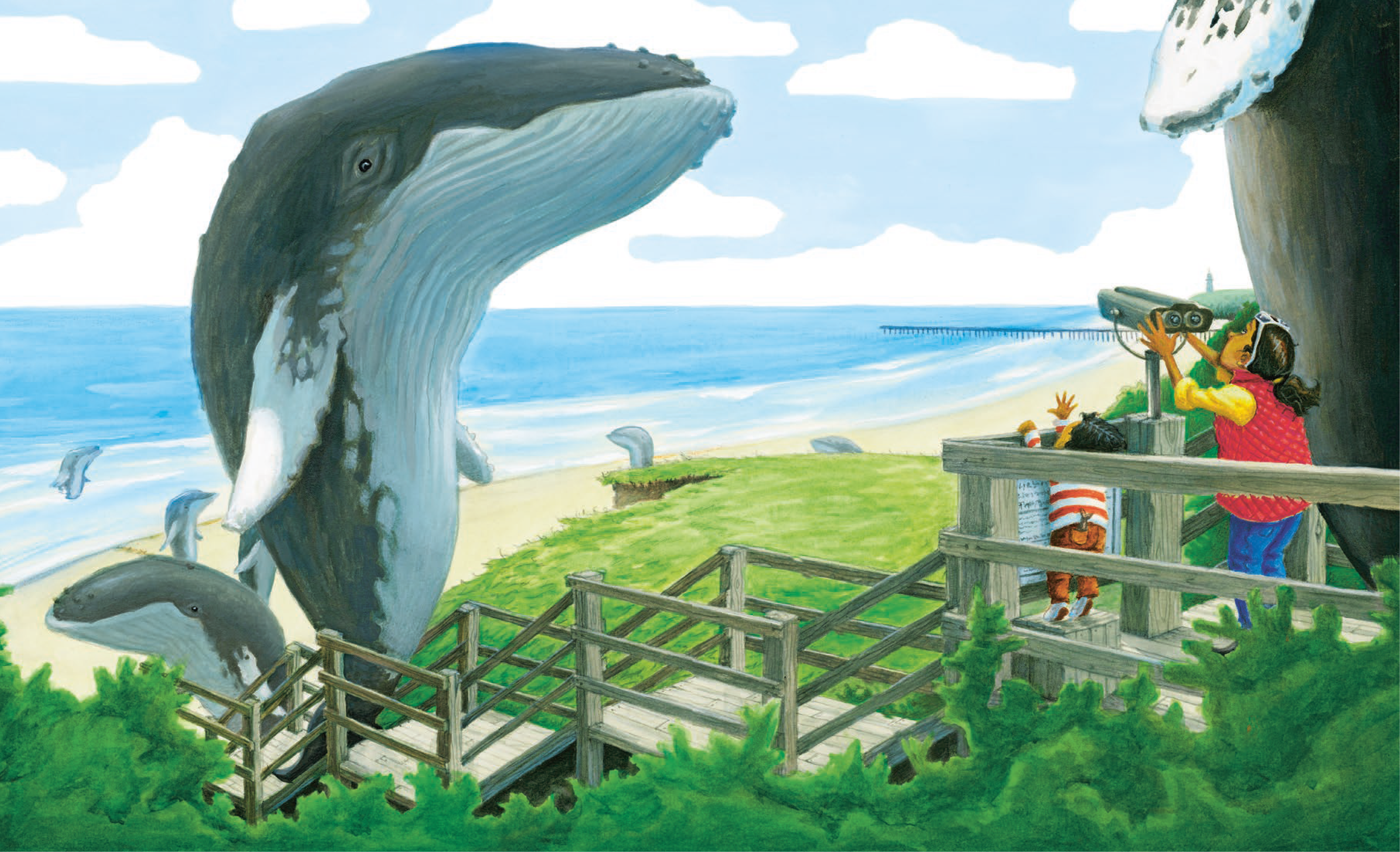 Walk Of The Whales 1