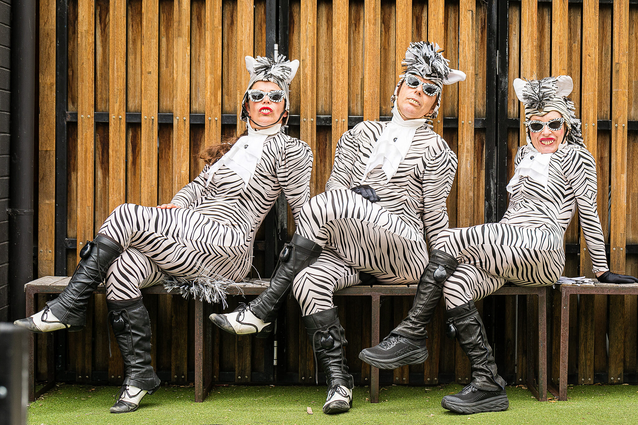 HERO 3 Zebras cross legged