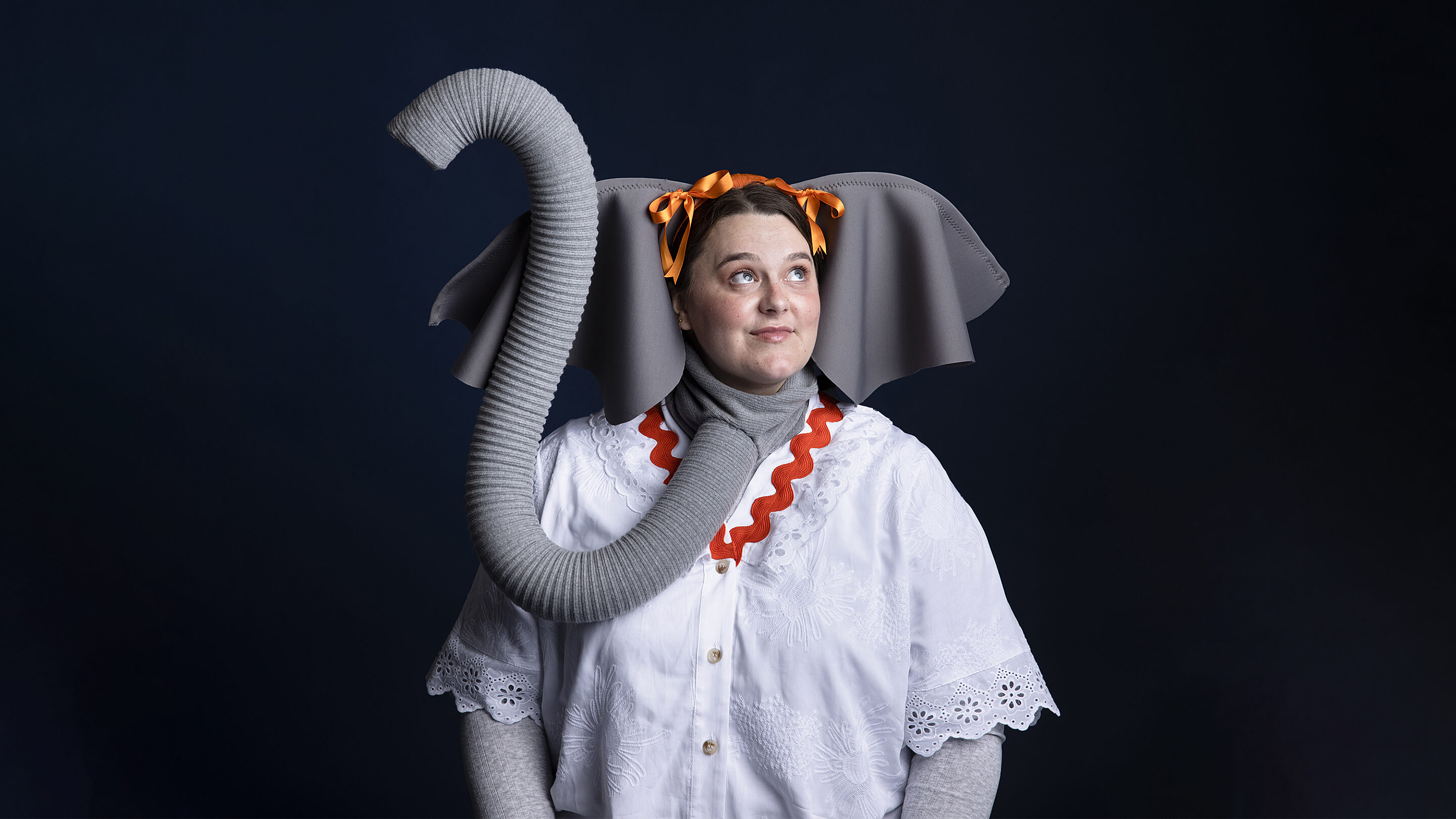 BG Stella Elephant Banner1