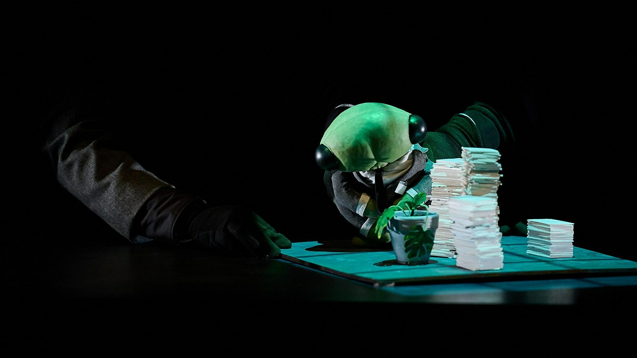 Lr 220707 cicada c02 0819