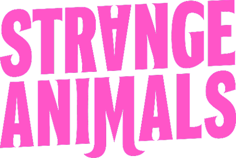 Strange Animals Partner Awesome Festival Barking Gecko Arts