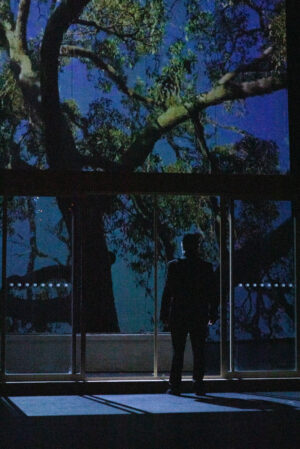 Things I Know To Be True - Show Image 6