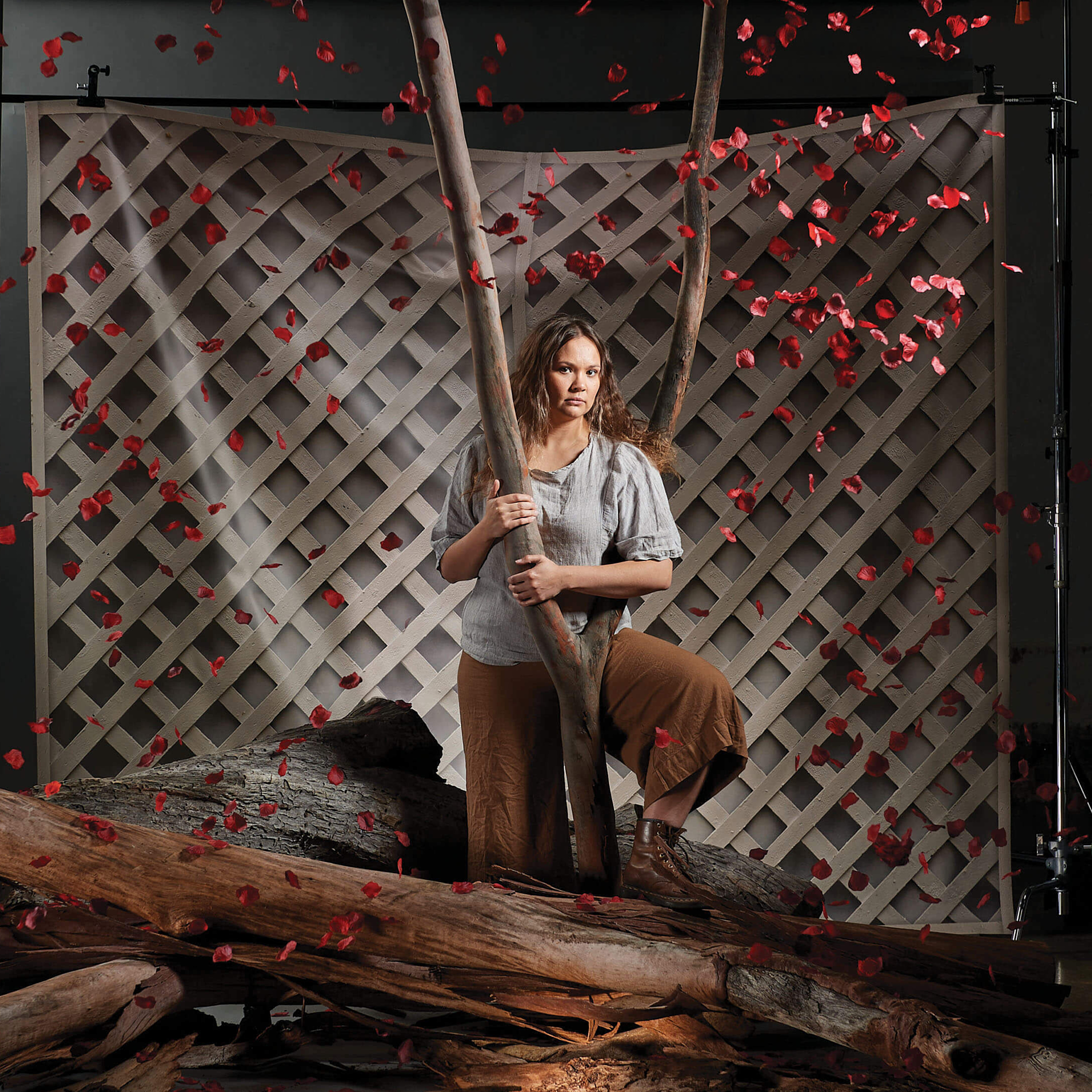 THE BLEEDING TREE Hero image