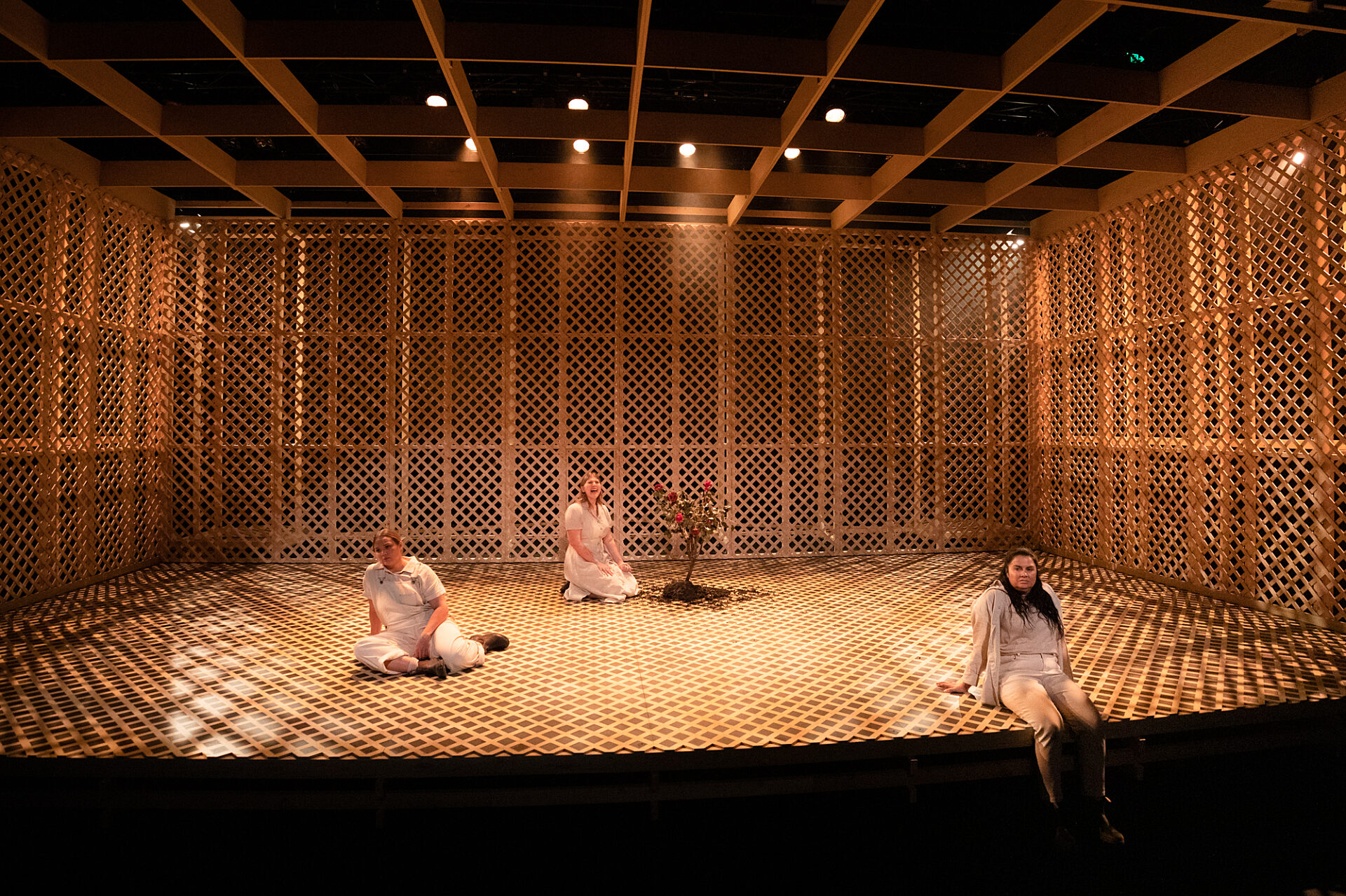 The Bleeding Tree - Show Image 4