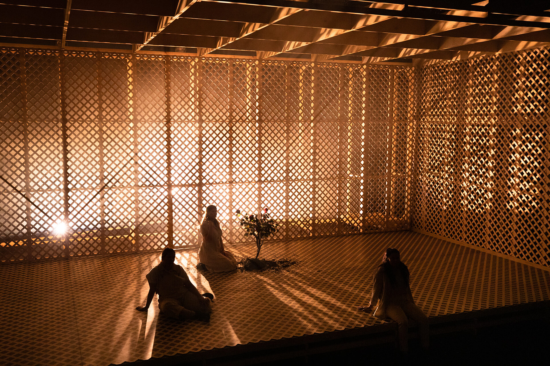 The Bleeding Tree -Show Image 5