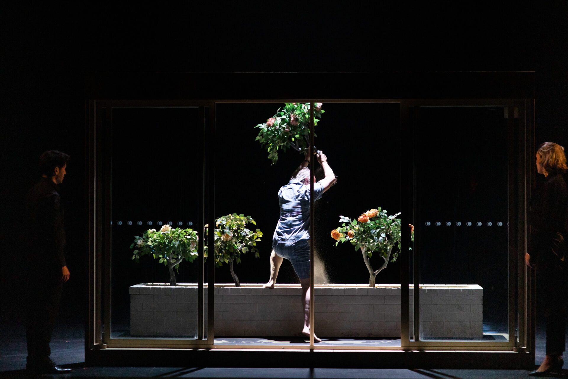 Things I Know To Be True - Show Image 5