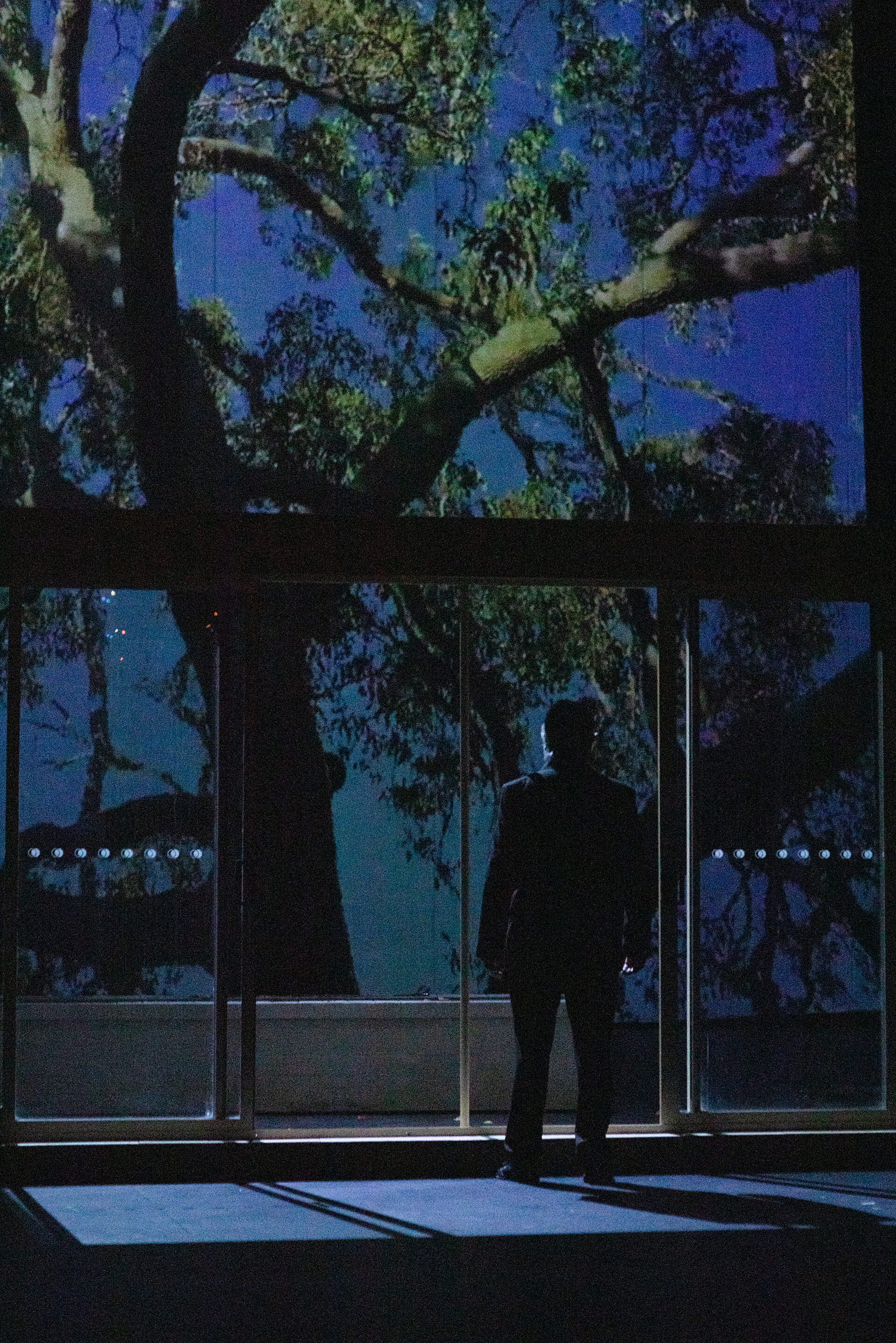 Things I Know To Be True - Show Image 6