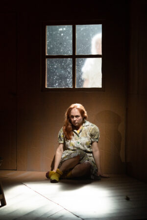 Dirty Birds - Show Image 4