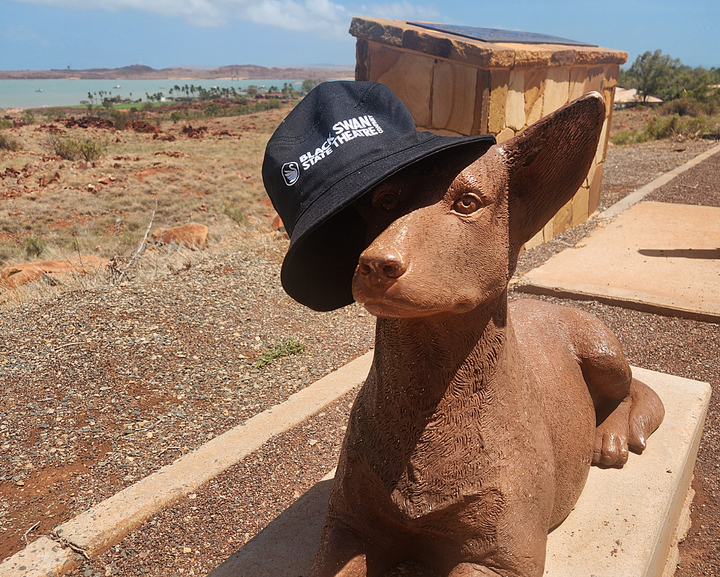 NEWS The Pool Roadtrip