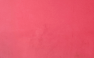 THE POOL VOLUNTEER CALLOUT Header image