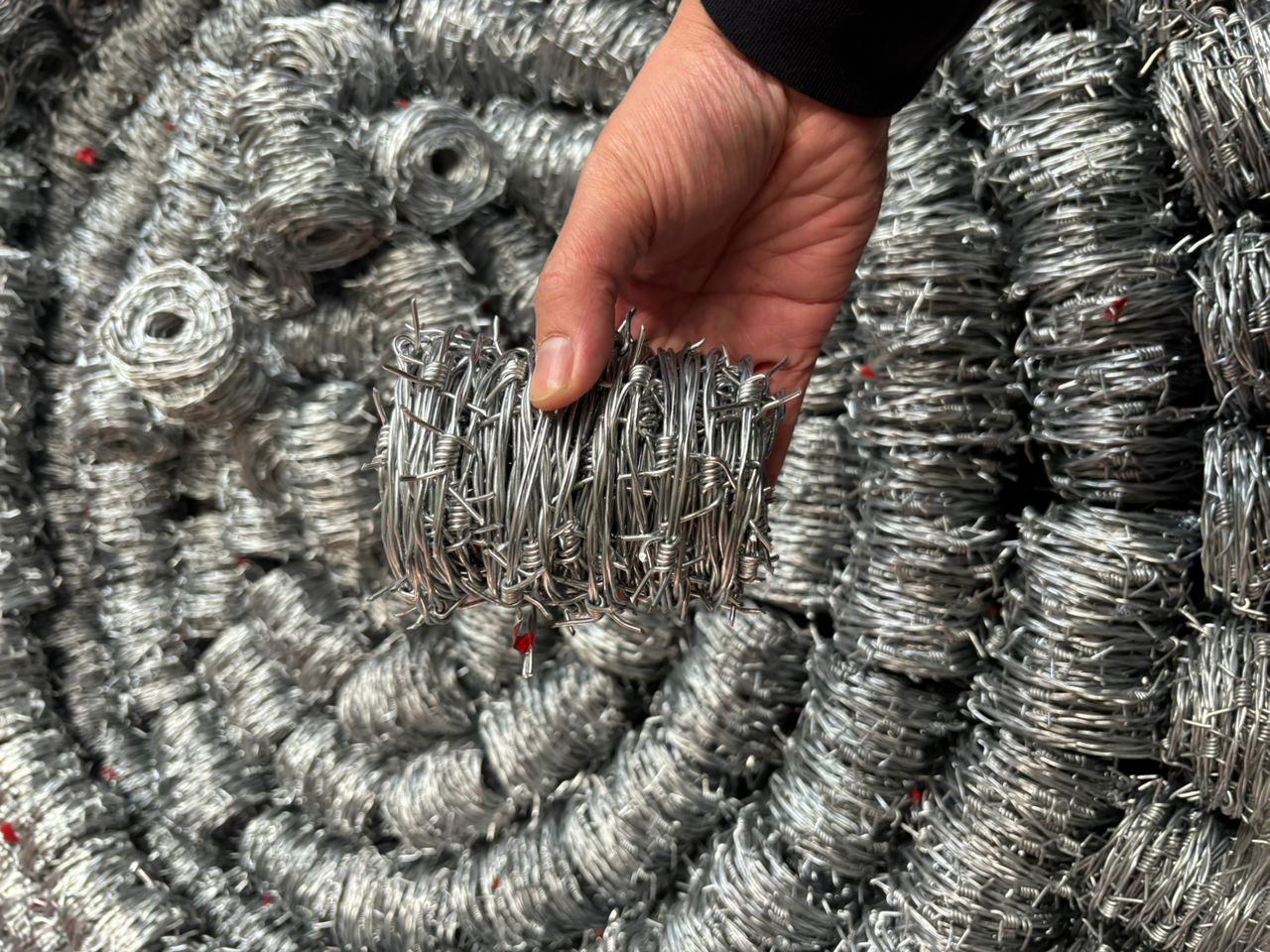 Mini Barb Wire – Galvanized Custom Coils for Japan Market