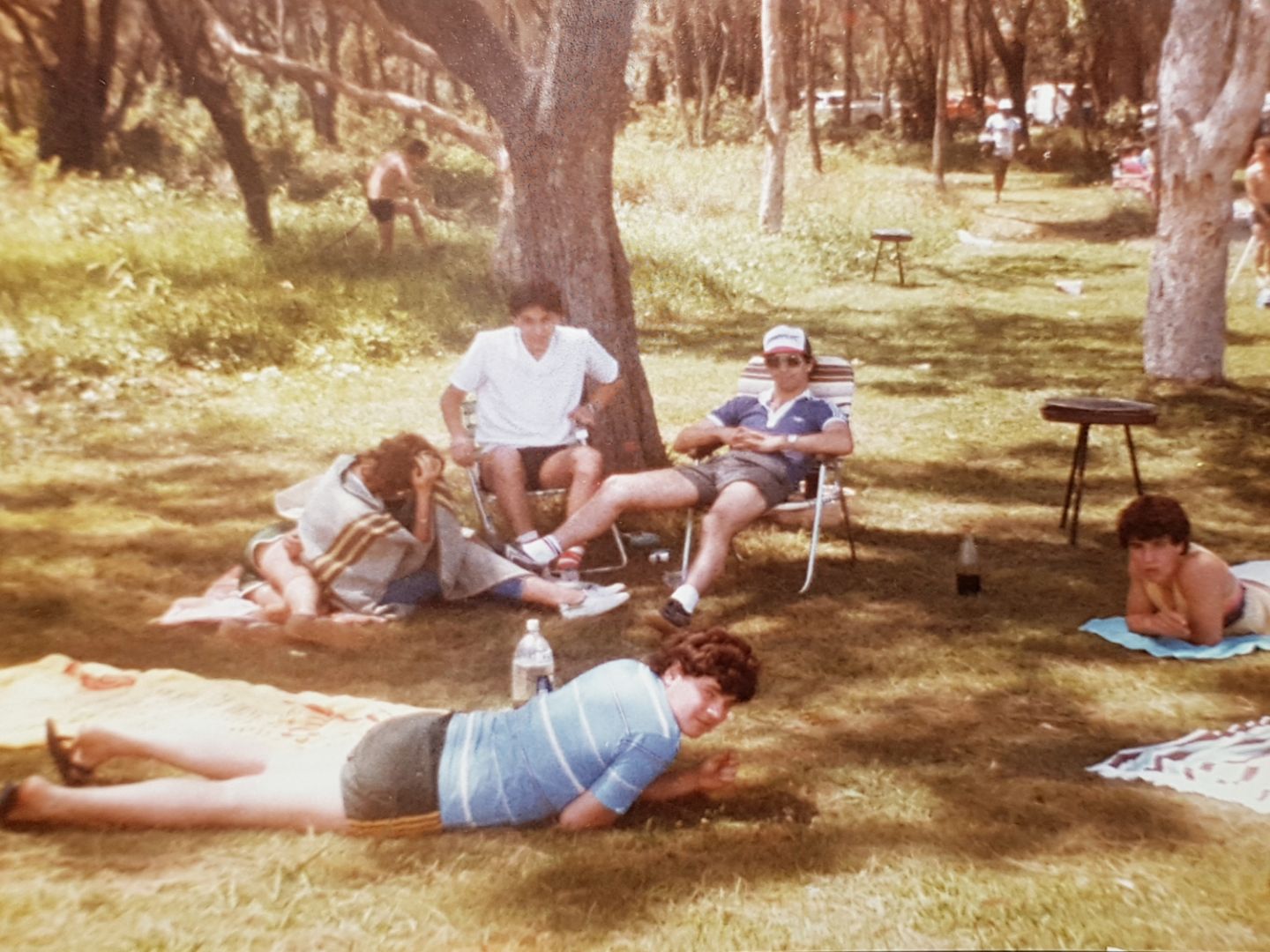Walk Down Memory Lane Sydney Greek Picnics Greek Herald