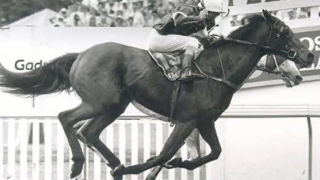 Melbourne Cup history From large crowds to animal rights concerns