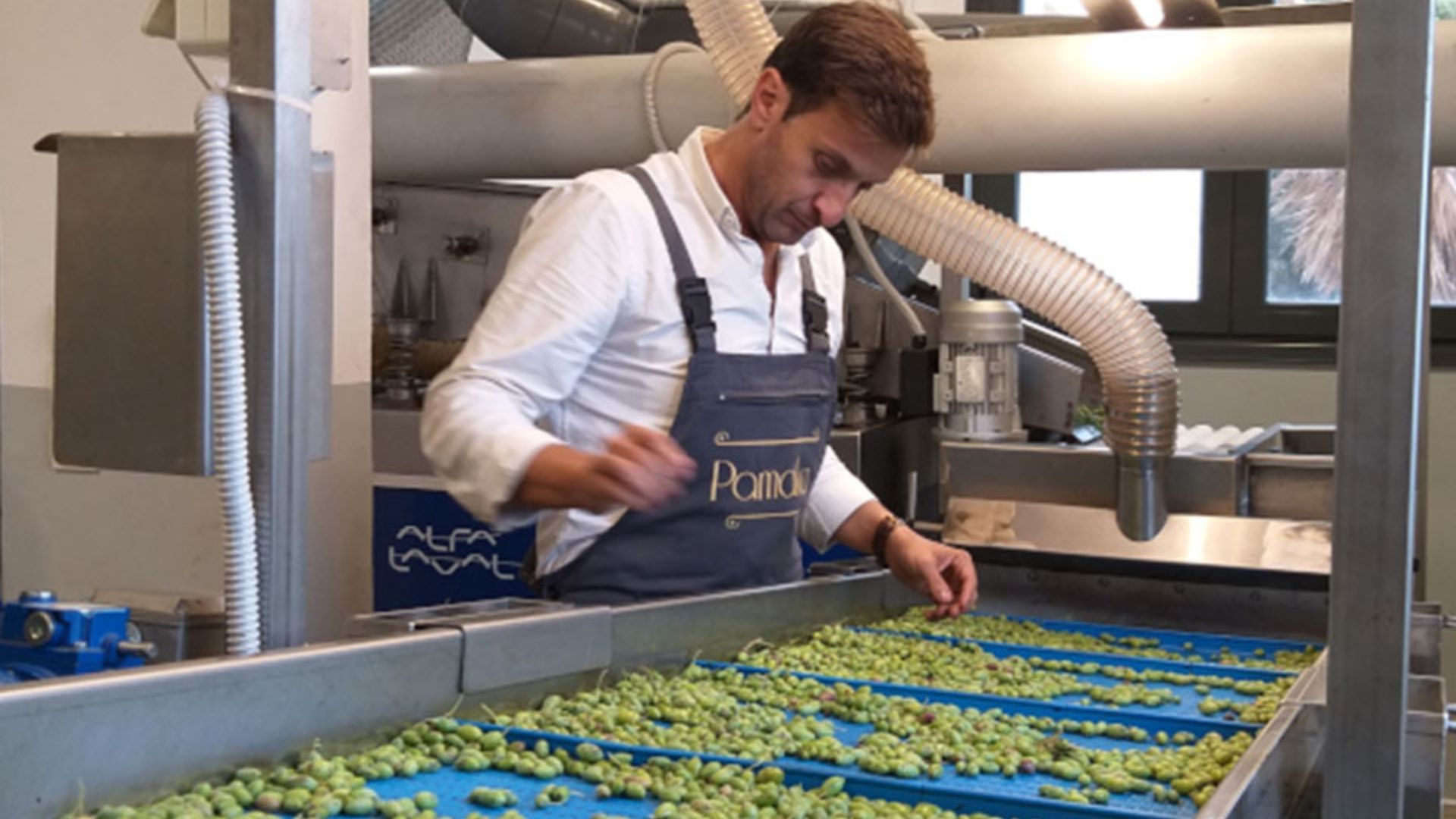 Greek Olive Oils Win Big At Anatolian Oil Competition The Greek Herald greek-olive-oils-win-big-at-anatolian-oil-competition-the-greek-herald
