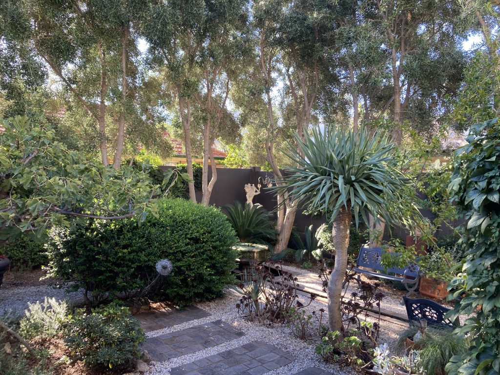 Mediterranean garden design: Protecting Western Australia's water ...