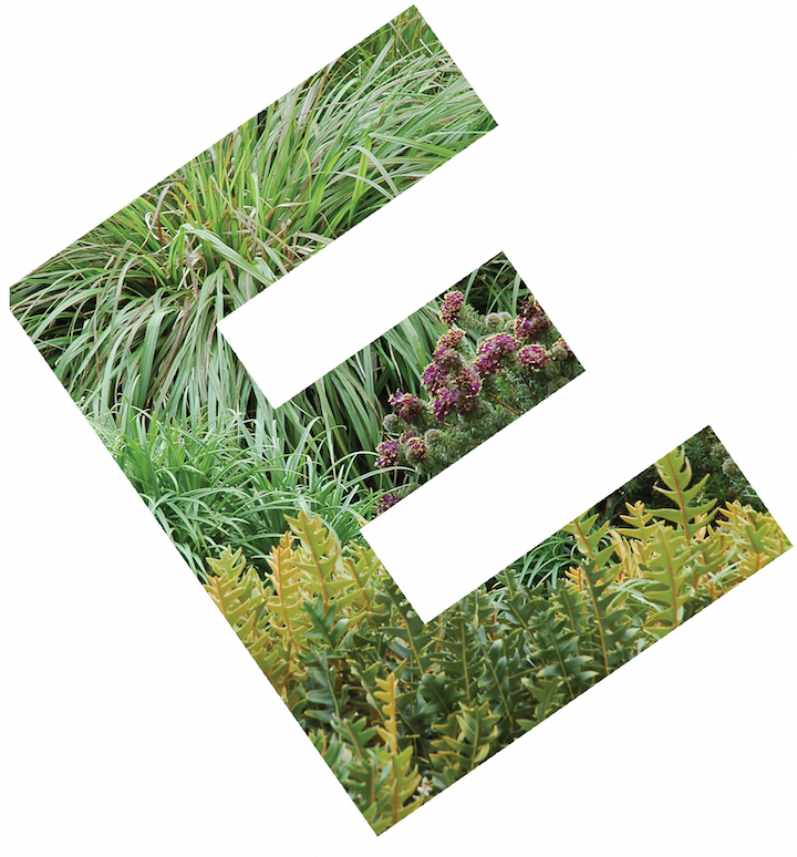 Eckersley Garden Architecture