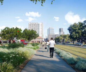 Parramatta Light Rail Artist impression of green track at Robin Thomas Reserve