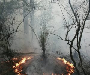 Lucille Martin Right Fire Exhibition—Fire Circle