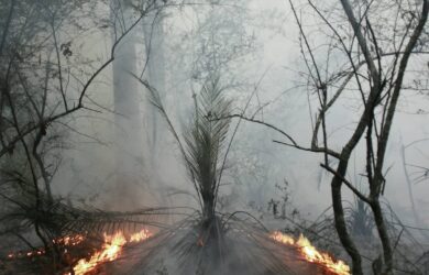 Lucille Martin Right Fire Exhibition—Fire Circle