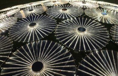 Bruce Munro, Time and Again 2016, photograph- Christopher John © 2022 Bruce Munro, all rights reserved
