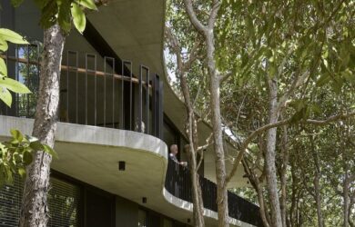 Treescape—Timbin Road