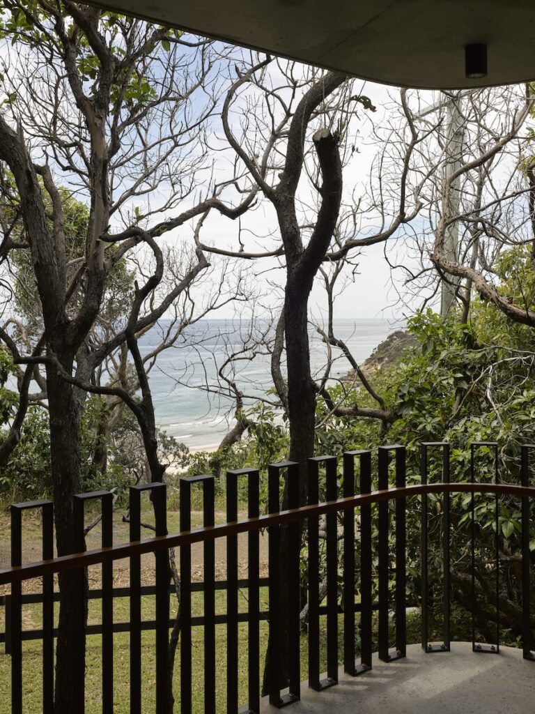 Treescape—Timbin Road