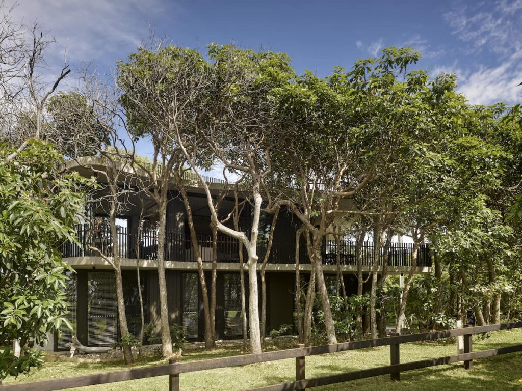 Treescape—Timbin Road