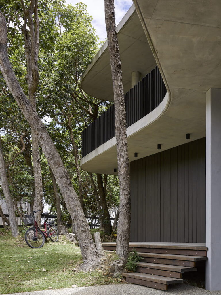 Treescape—Timbin Road