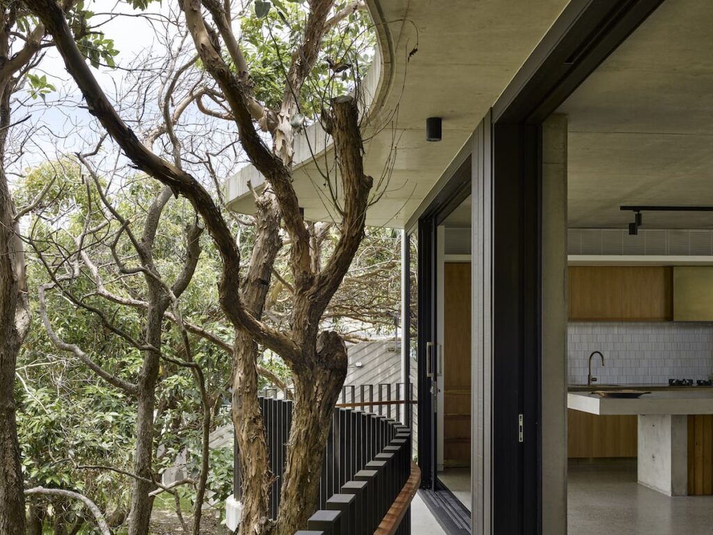 Treescape—Timbin Road