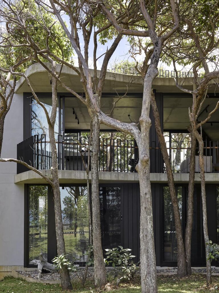 Treescape—Timbin Road