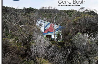 green magazine issue 86 cover