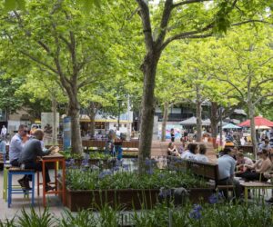 City Walk Park (City Renewal Authority)